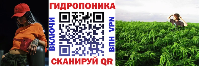 Продажа наркотиков Пикалёво A-PVP  Галлюциногенные грибы  Мефедрон  ГЕРОИН  Амфетамин 