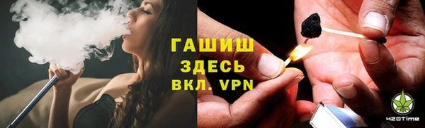 молекула духа Алексин