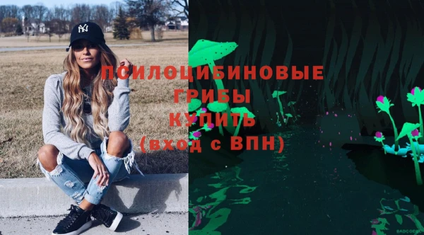 дурь Алексеевка